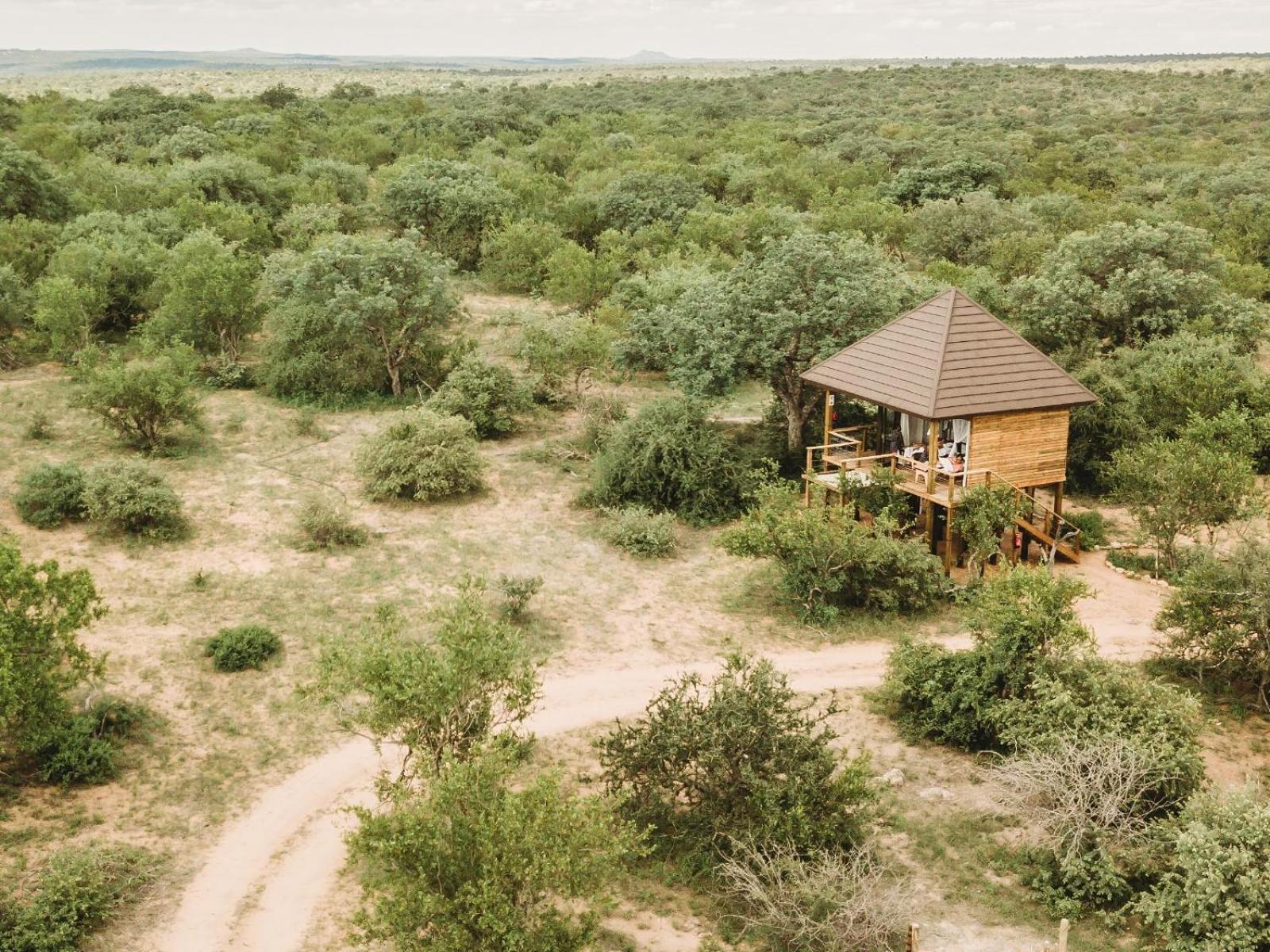 Maroelani Lodge- Greater Kruger Private Reserve Hoedspruit Room photo
